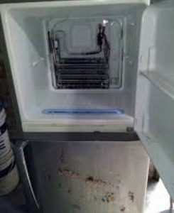 Service Kulkas Di Jimbaran